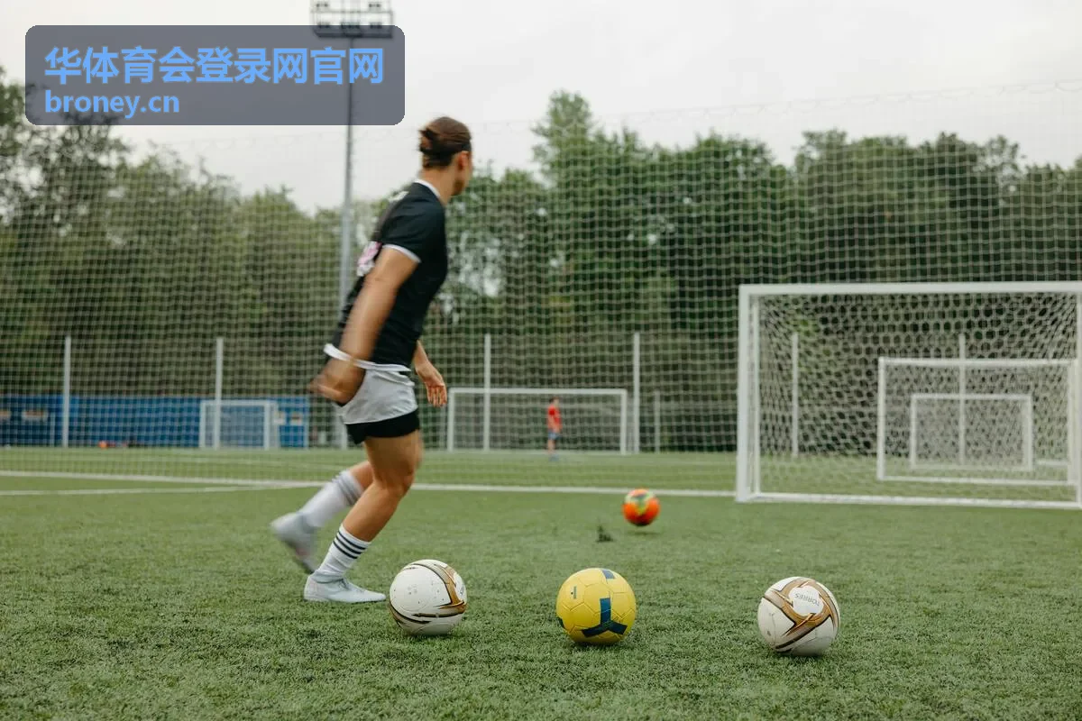 华体育会登录网官网会员服务