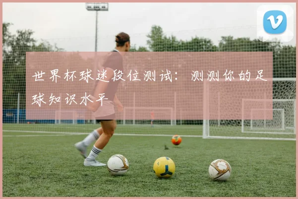 世界杯球迷段位测试：测测你的足球知识水平