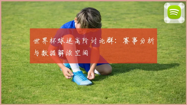 世界杯球迷高阶讨论群：赛事分析与数据解读空间