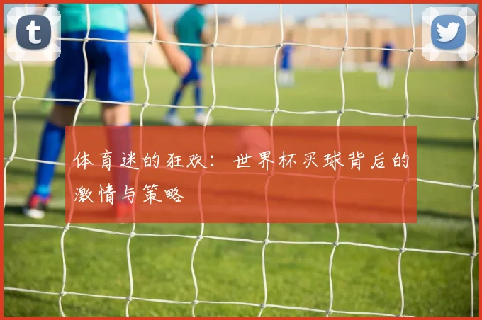 体育迷的狂欢:世界杯买球背后的激情与策略