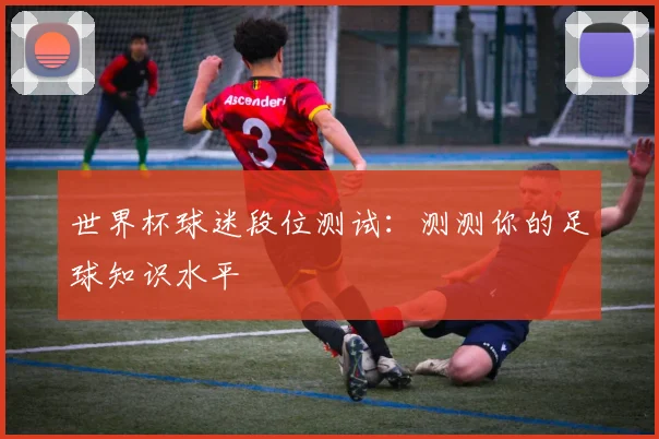 世界杯球迷段位测试：测测你的足球知识水平