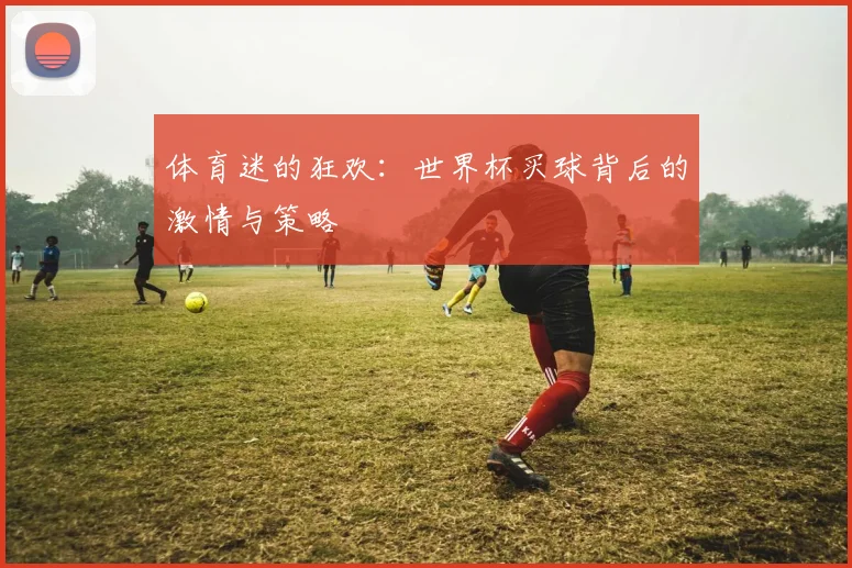 体育迷的狂欢:世界杯买球背后的激情与策略