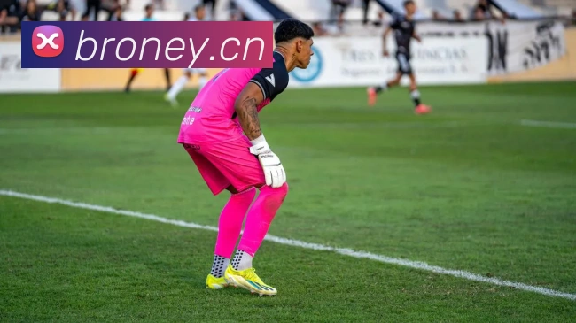 爱游戏官网ayxAPP 封面图